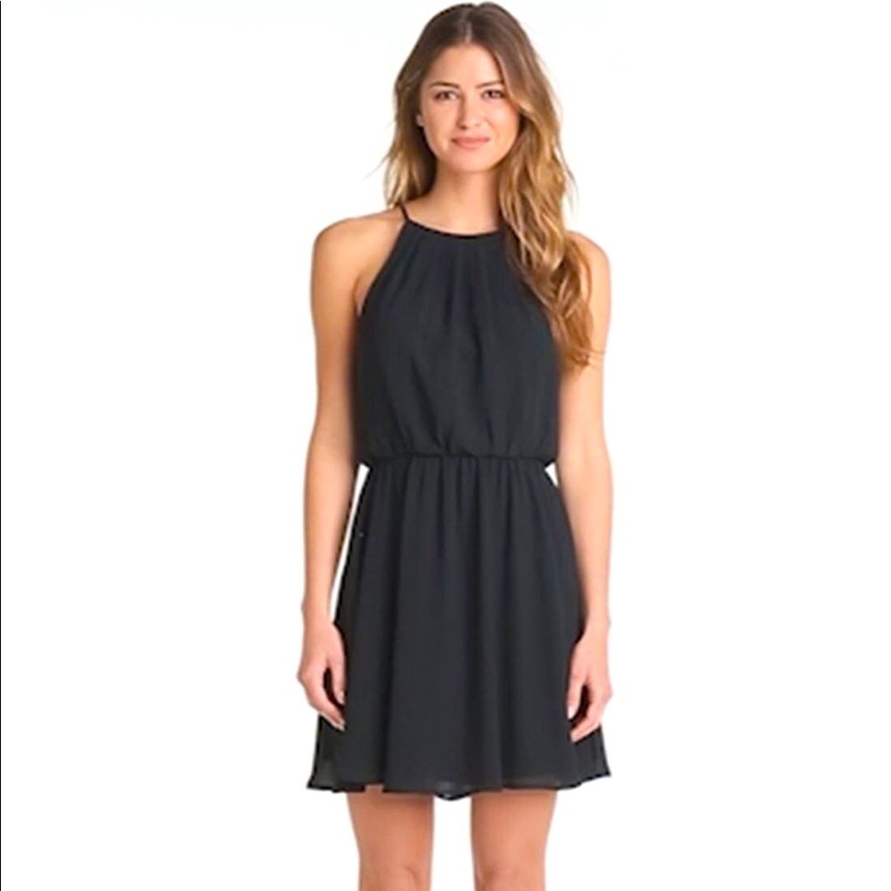 Lush Blouson Chiffon Skater Dress